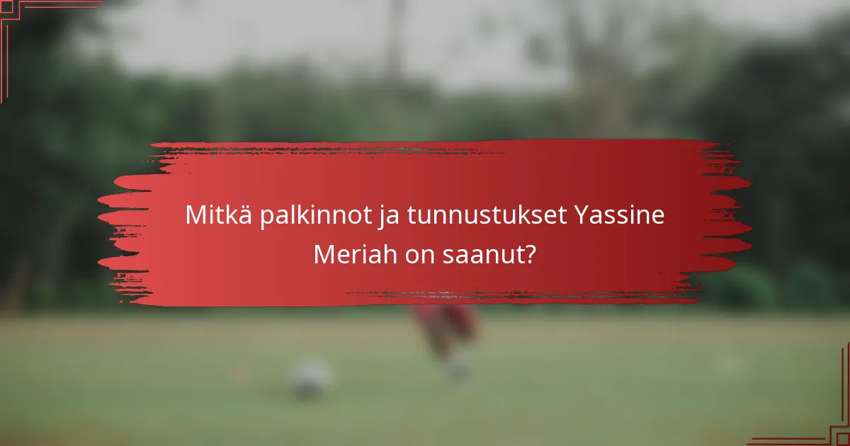 Mitkä palkinnot ja tunnustukset Yassine Meriah on saanut?